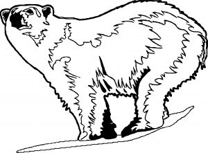 Such Bear Coloring Page