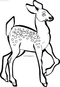 Dad Spotted Deer Coloring Page