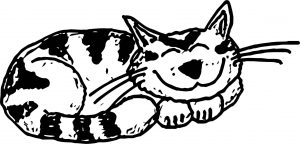How Cat Coloring Page