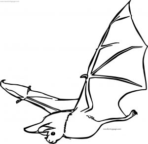 Other Bat Coloring Page