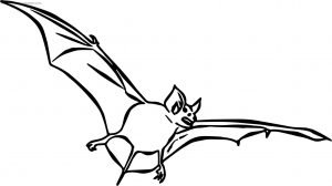 Said Bat Coloring Page