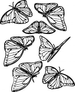 Seven Butterfly Coloring Page