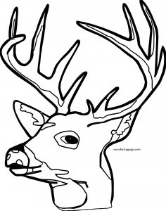 Spotted Deer Face Coloring Page