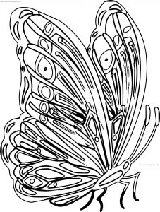 Purple Butterfly Clipart Picture Coloring Page