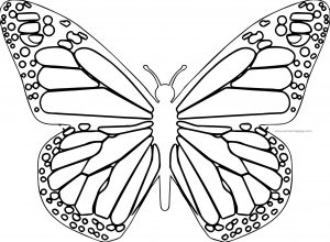 Butterfly Coloring Page Wecoloringpage 123