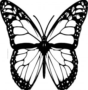 Butterfly Coloring Page Wecoloringpage 125