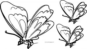 Butterfly Coloring Page Wecoloringpage 137