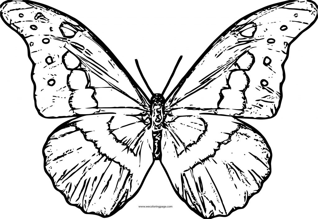 Butterfly Coloring Page Wecoloringpage 156 - Wecoloringpage.com