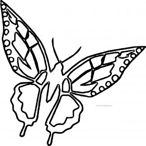 Butterfly Coloring Page Wecoloringpage 165