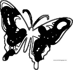 Butterfly Coloring Page Wecoloringpage 185