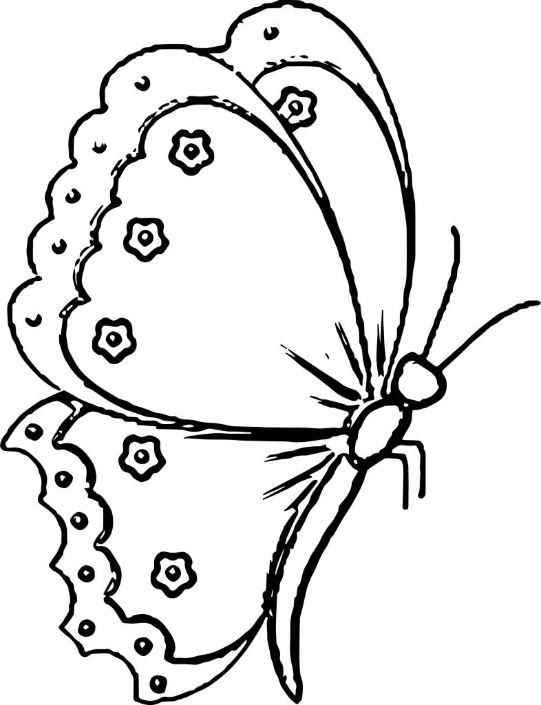 Butterfly Coloring Page Wecoloringpage 26 | Wecoloringpage.com