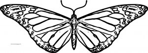 Butterfly Coloring Page Wecoloringpage 196