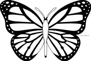 Butterfly Coloring Page Wecoloringpage 200