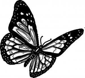 Butterfly Coloring Page Wecoloringpage 202