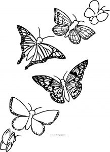Butterfly Coloring Page Wecoloringpage 207