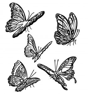 Butterfly Coloring Page Wecoloringpage 254