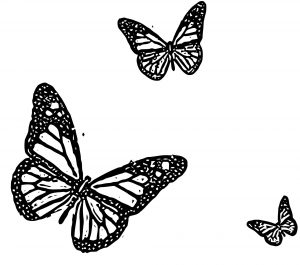 Butterfly Coloring Page Wecoloringpage 287
