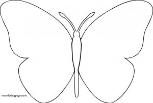 Butterfly Coloring Page Wecoloringpage 302
