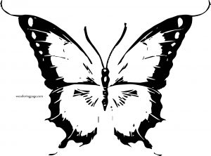 Butterfly Coloring Page Wecoloringpage 65