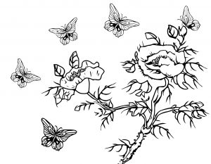 Butterfly Flowers Branch Coloring Page Line