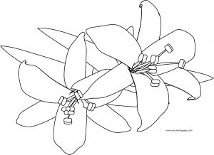 Flower Coloring Page 04