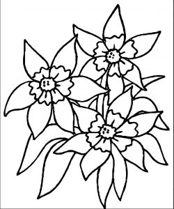 Flower Coloring Page Wecoloringpage 035