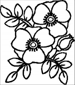Flower Coloring Page Wecoloringpage 052