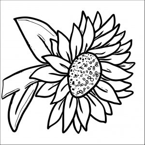 Flower Coloring Page Wecoloringpage 064
