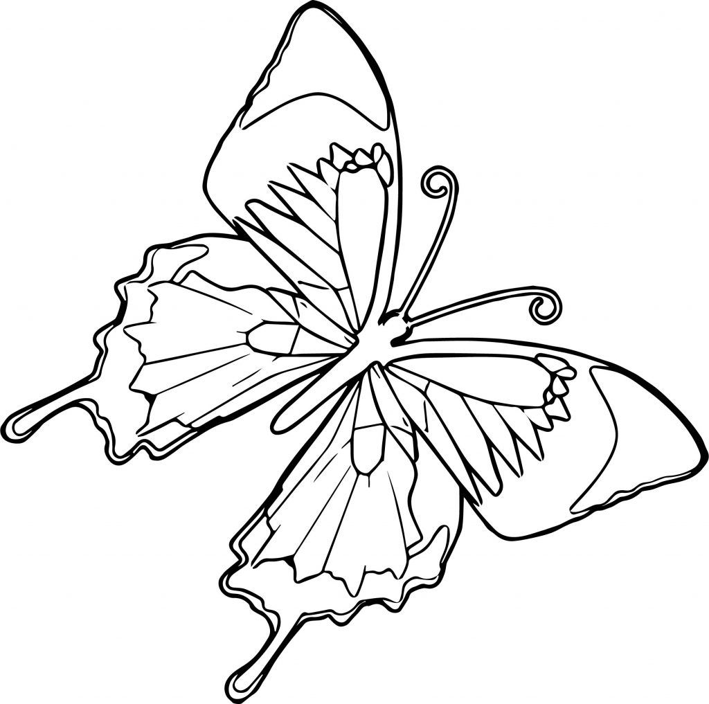 Flying Butterfly Coloring Page - Wecoloringpage.com