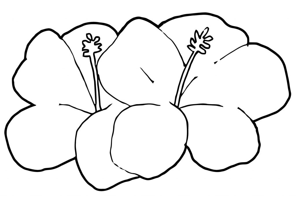 Hawaiin Flower 2 Coloring Page - Wecoloringpage.com