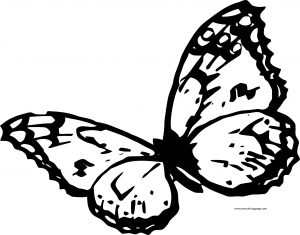Just Butterfly Coloring Page