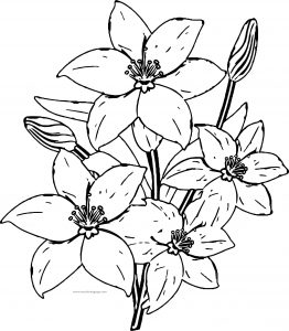 Nice Flower Coloring Page