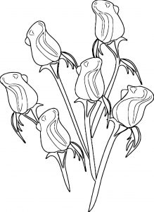 Tulip Flower Coloring Page Wecoloringpage 030