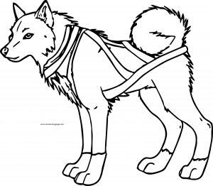 balto dog coloring page (12)