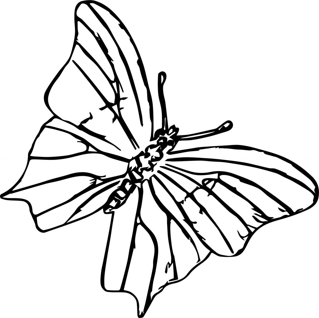 Butterfly Chaos Coloring Page | Wecoloringpage.com