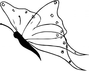 Butterfly Coloring Page 07