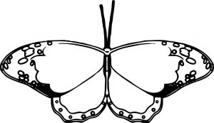 Butterfly Coloring Page 14