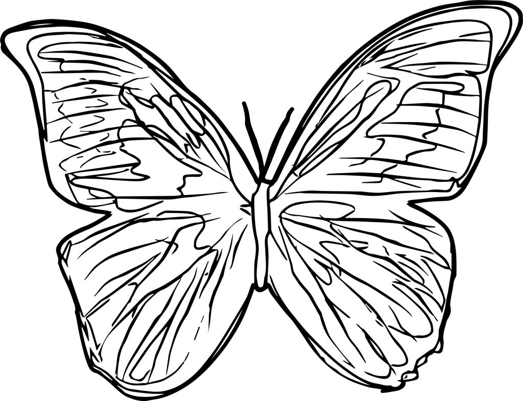 Butterfly Cluster Coloring Page | Wecoloringpage.com