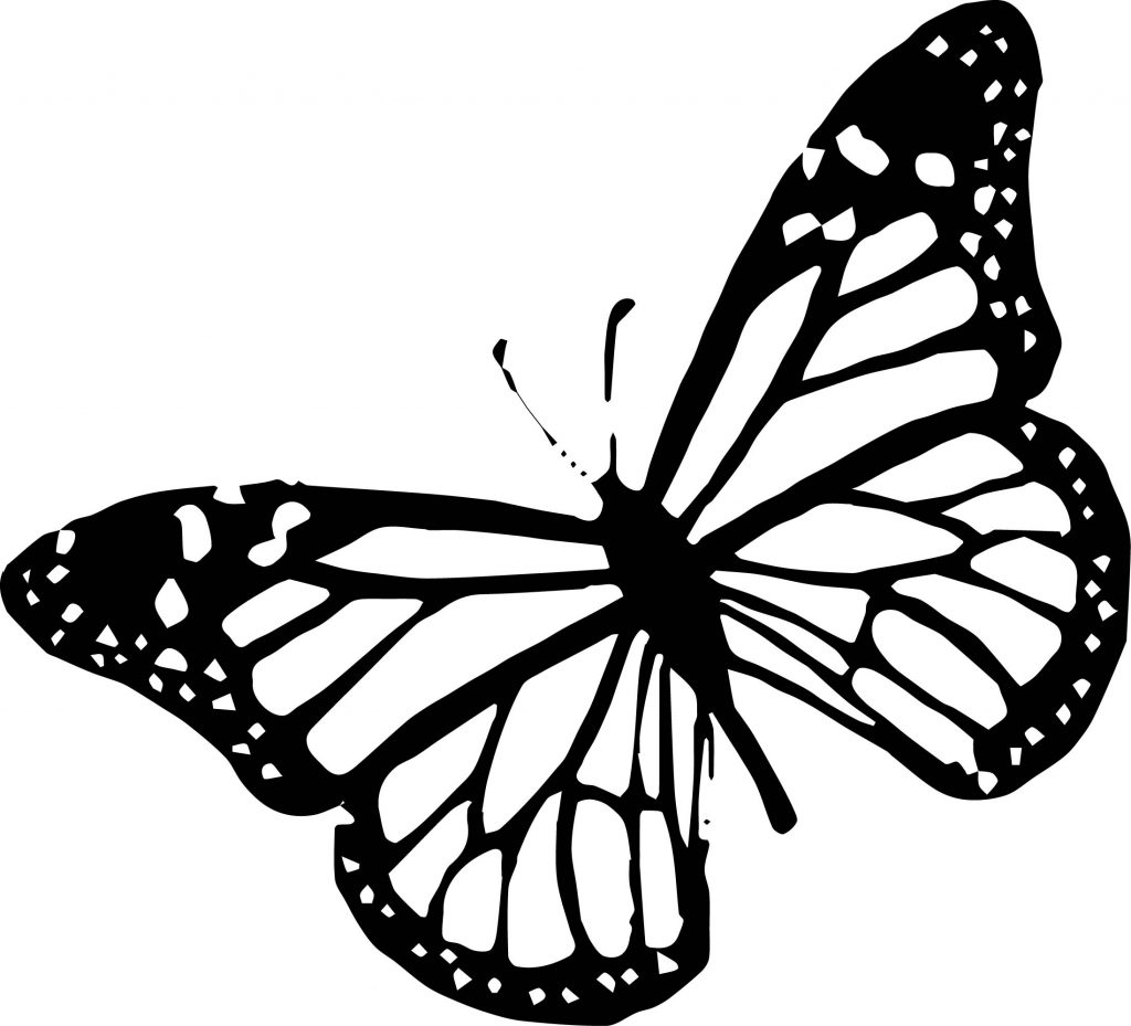 Side One Butterfly Coloring Page | Wecoloringpage.com