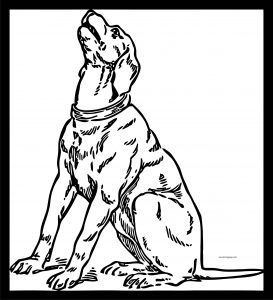 Dog Coloring Pages 034