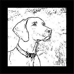 Dog Coloring Pages 202