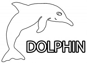 Dolphin Coloring Page 034
