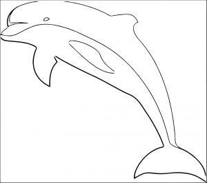 Dolphin Coloring Page 041