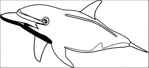 Dolphin Coloring Page 043
