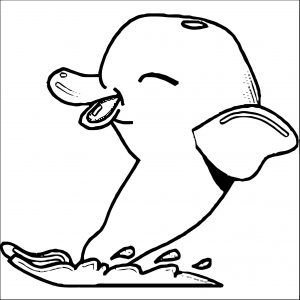 Dolphin Coloring Page 053