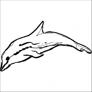 Dolphin Coloring Page 059
