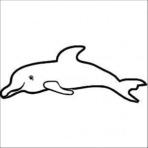 Dolphin Coloring Page 062