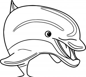 Dolphin Coloring Page 095