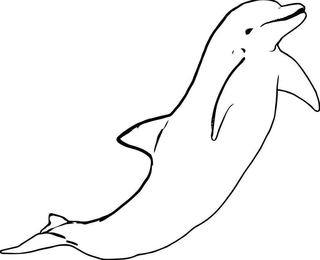 Dolphin Coloring Page 098 - Wecoloringpage.com