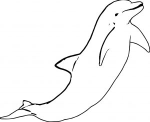 Dolphin Coloring Page 098